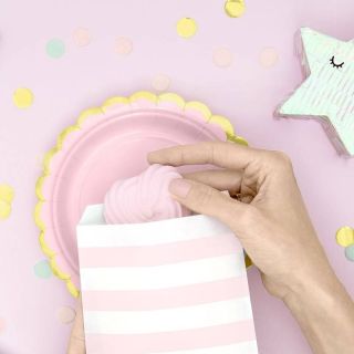 6 LIGHT PINK PARTY DECO PLATES ( TPP16-081J )